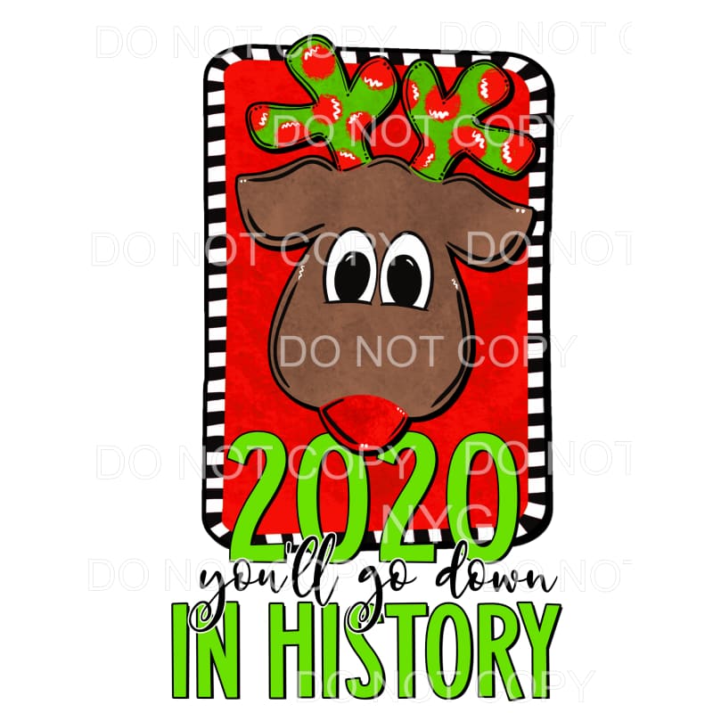 2020 You’ll Go Down In History Christmas Reindeer #1