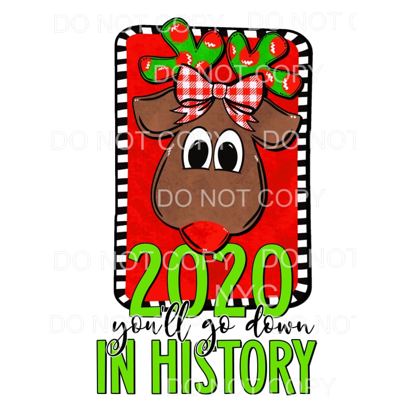 2020 You’ll Go Down In History Christmas Reindeer #2