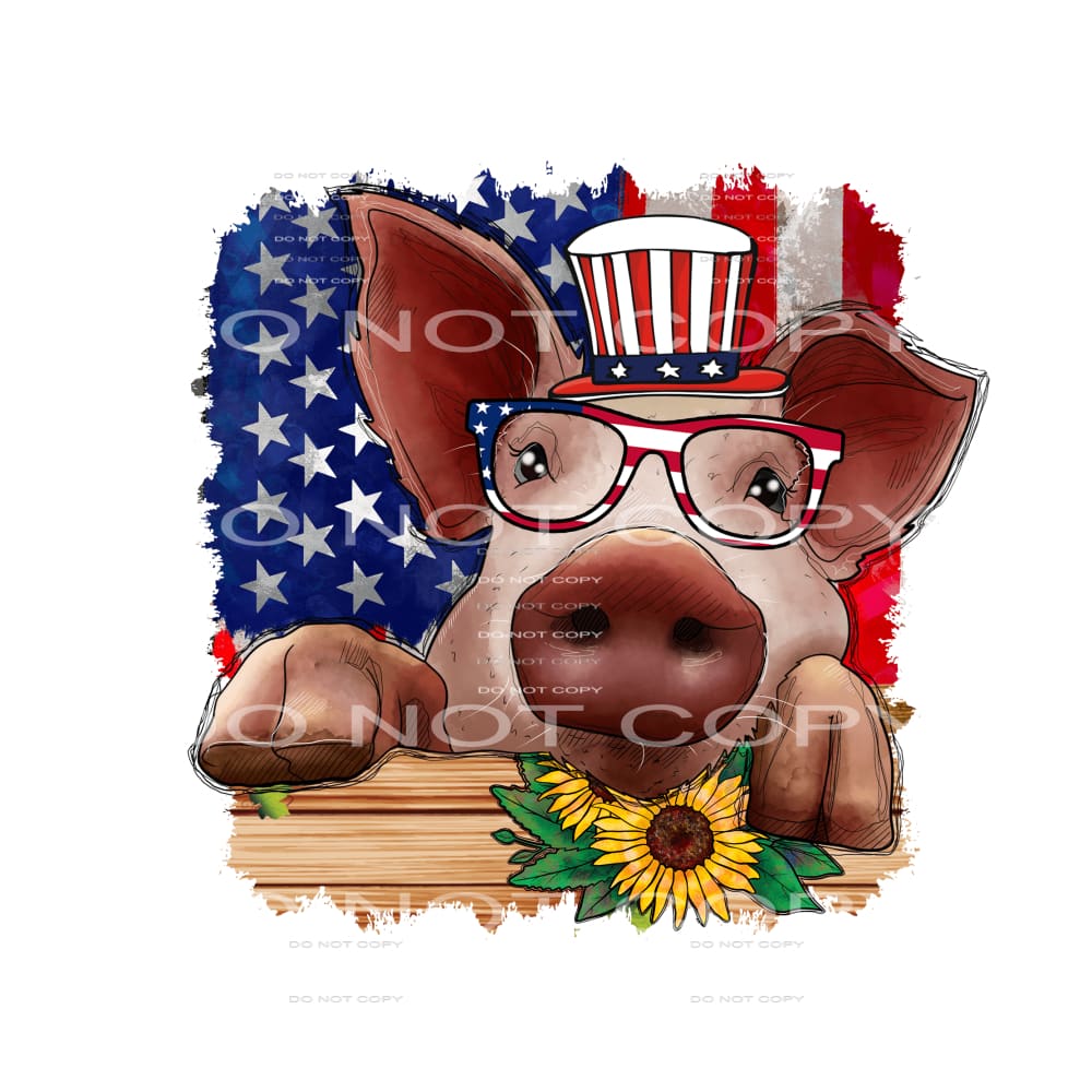 America #3622 Sublimation transfers - Heat Transfer Graphic