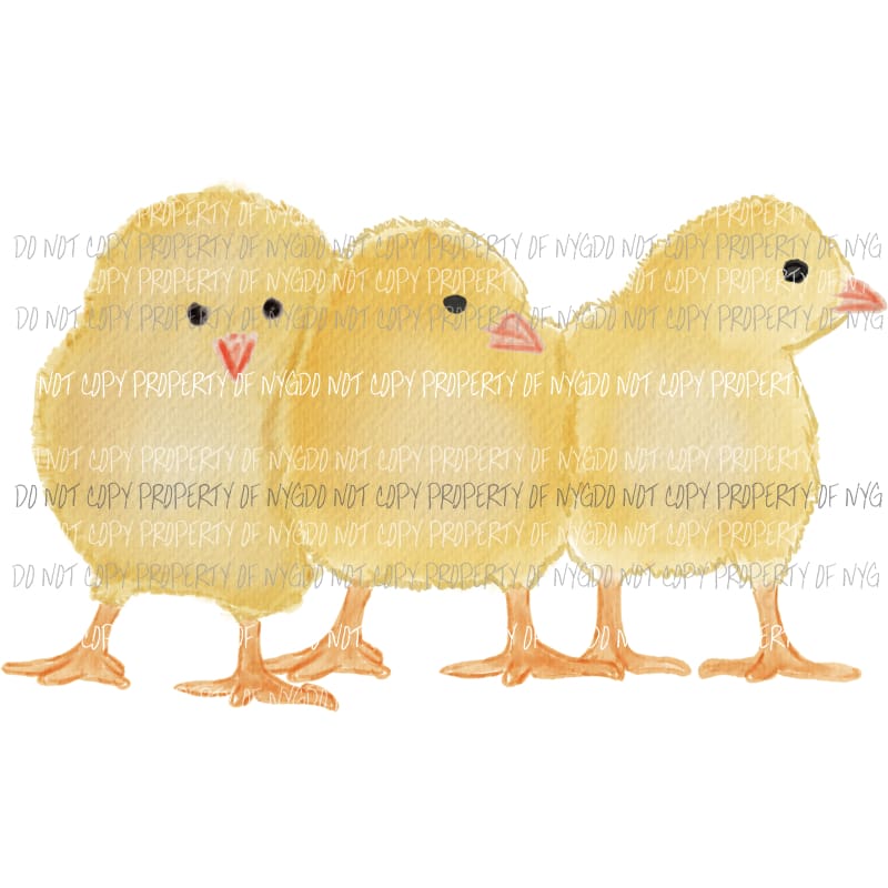Baby Chicks Sublimation transfers Heat Transfer