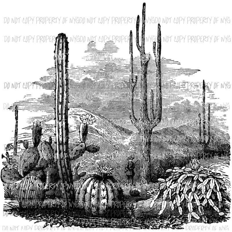 Cactus Black Sublimation transfers Heat Transfer