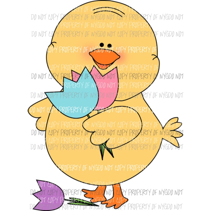 Chick with flowers Sublimation transfers Heat Transfer