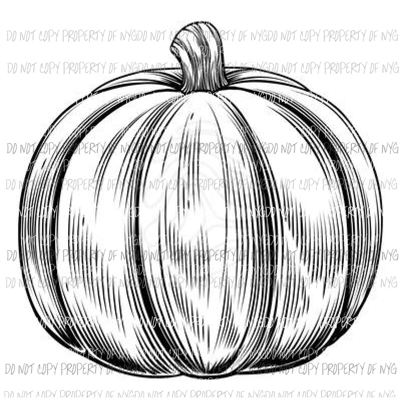 Color Me Pumpkin Sublimation transfers Heat Transfer