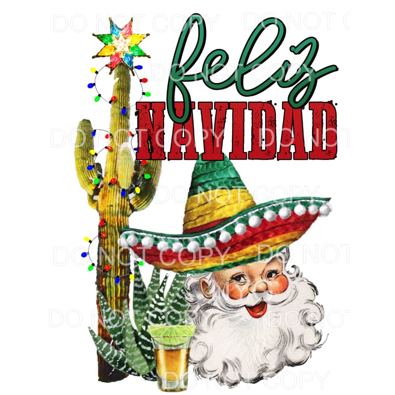 Feliz Navidad Santa Sombrero Colorful Lights Cactus #1584