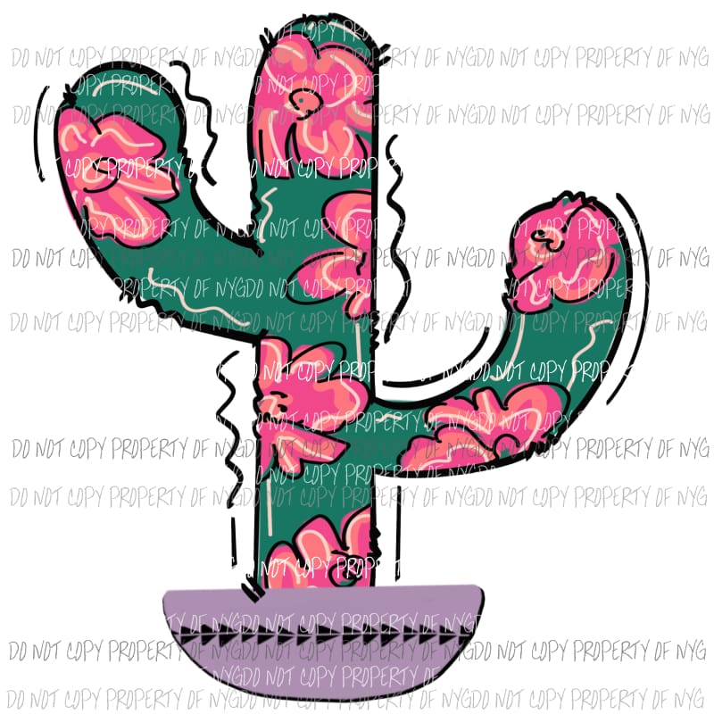 Flowered Cactus in a pot Sublimation transfers Heat Transfer
