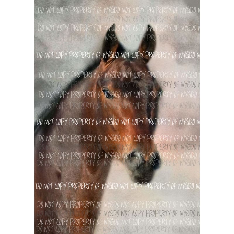 Horse portrait watercolor # 2 Sublimation transfers Heat Transfer