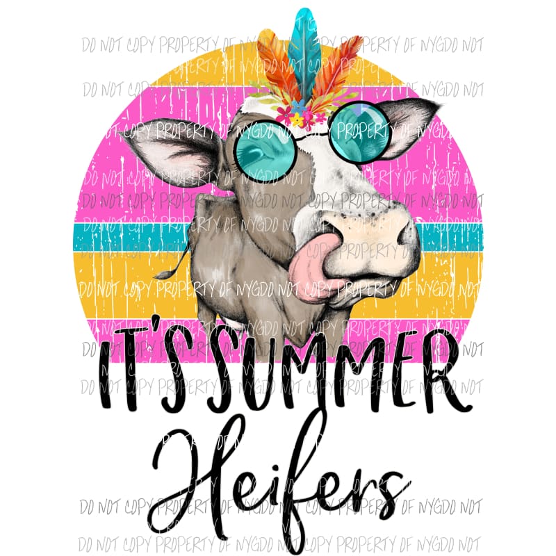 Its summer Heifers cow Sublimation transfers Heat Transfer