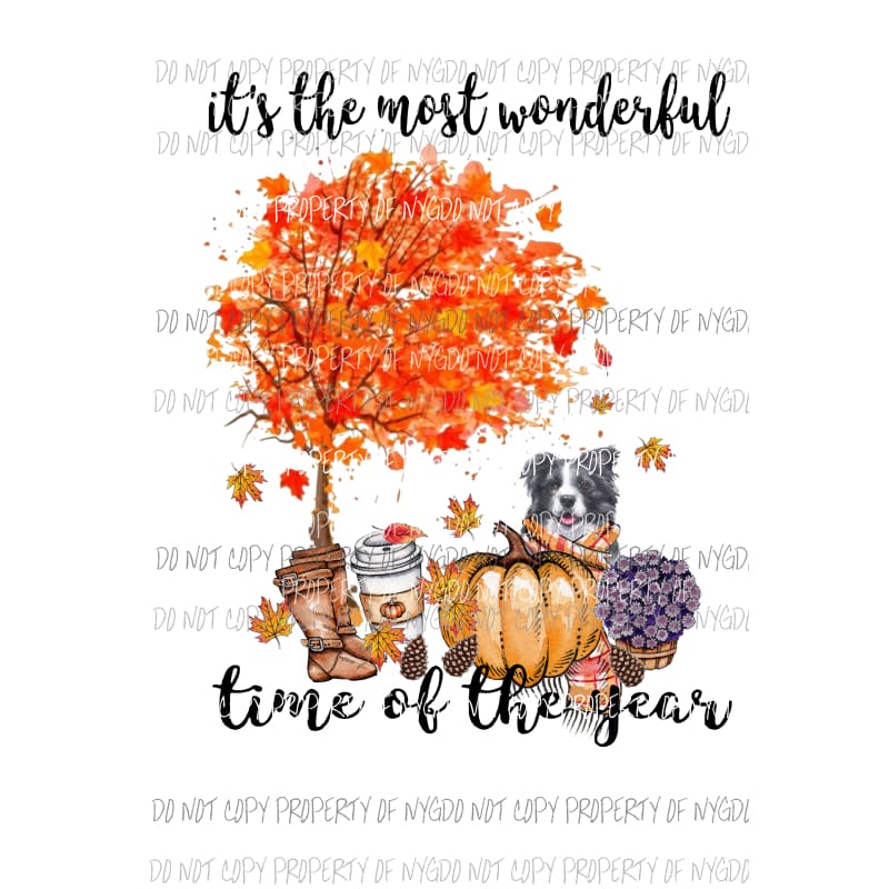 Its the most wonderful time of the year Border Collie 1 Fall Dog Sublimation transfers Heat Transfer