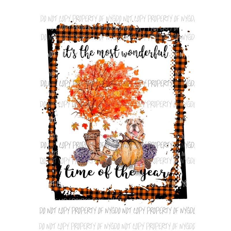 Its the most wonderful time of the year Bull dog 2 Frame Fall Dog Sublimation transfers Heat Transfer