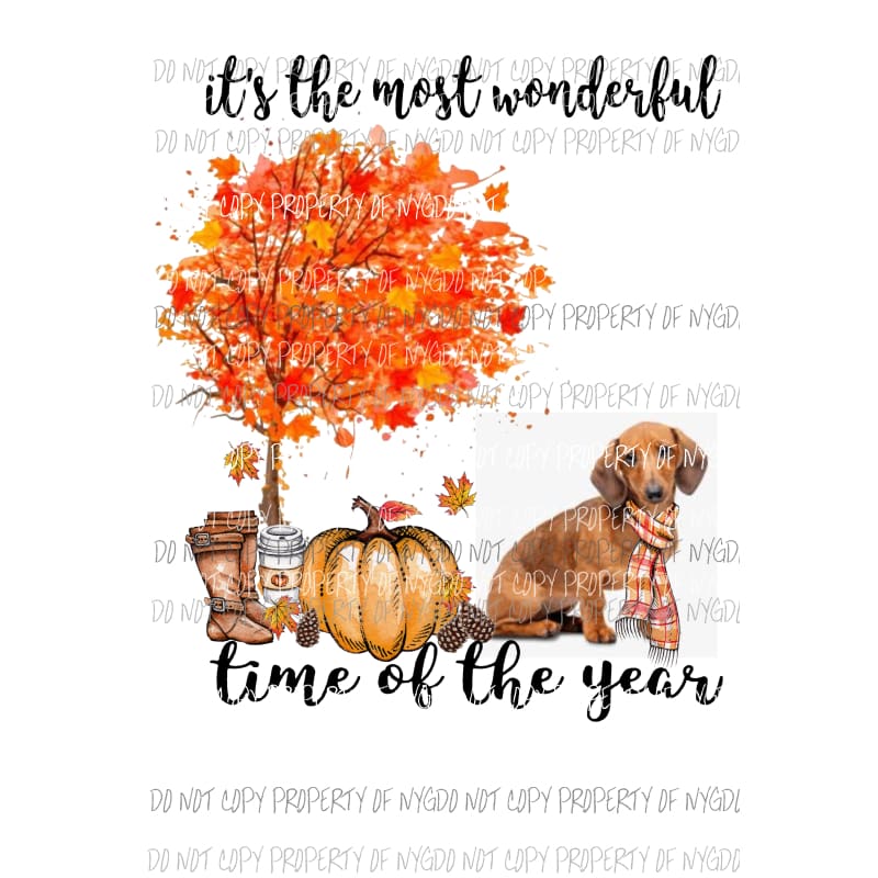 Its the most wonderful time of the year Fall Dauchaund 2 Dog Sublimation transfers Heat Transfer