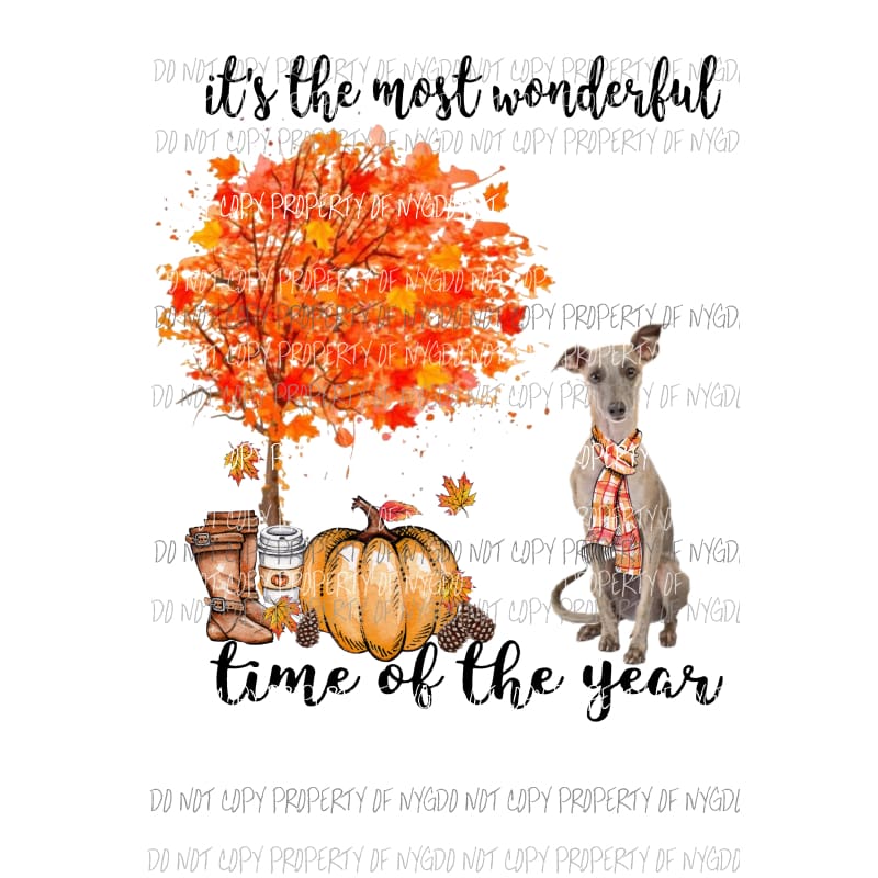 Its the most wonderful time of the year Fall WHIPPET Dog Sublimation transfers Heat Transfer