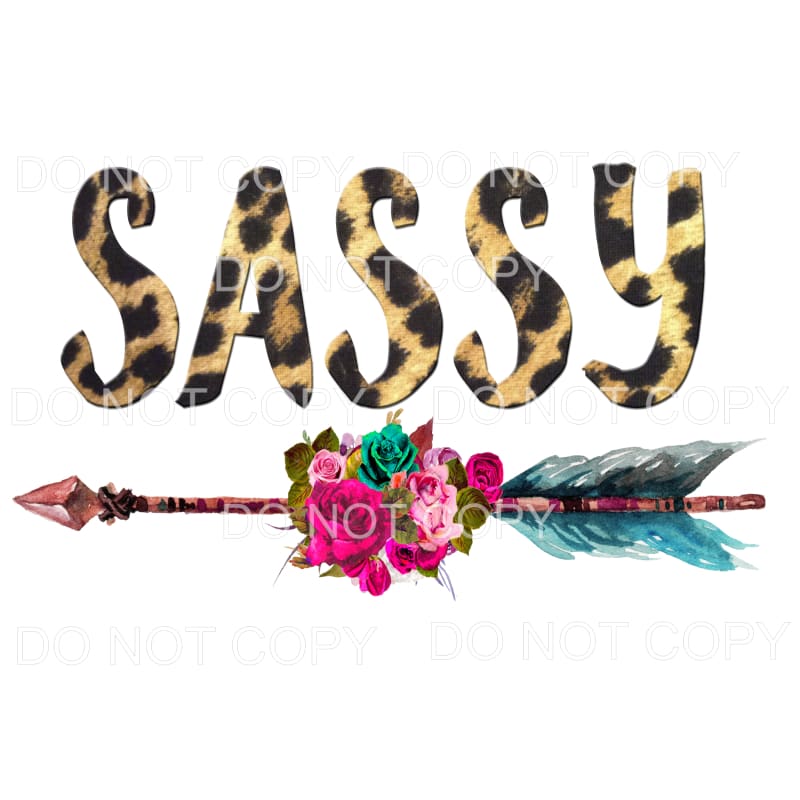 Sassy leopard arrow Sublimation transfers - Heat Transfer