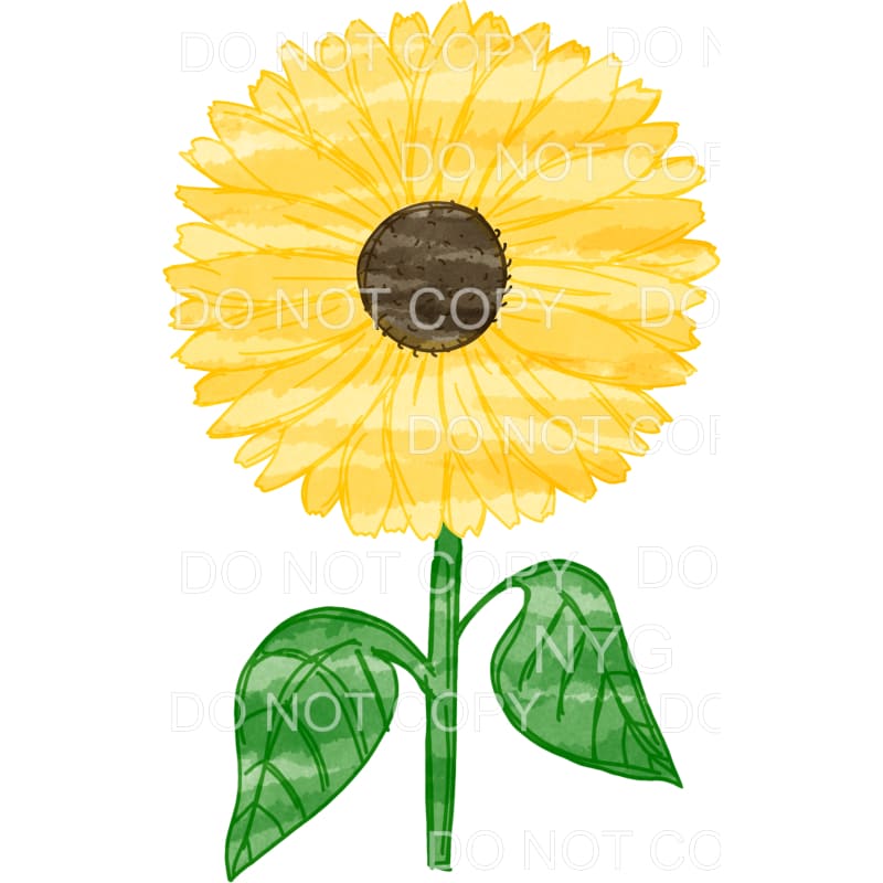 Sunflower Watercolor Sublimation transfers - Heat Transfer
