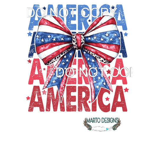 America # 2 Sublimation transfers - Heat Transfer Graphic
