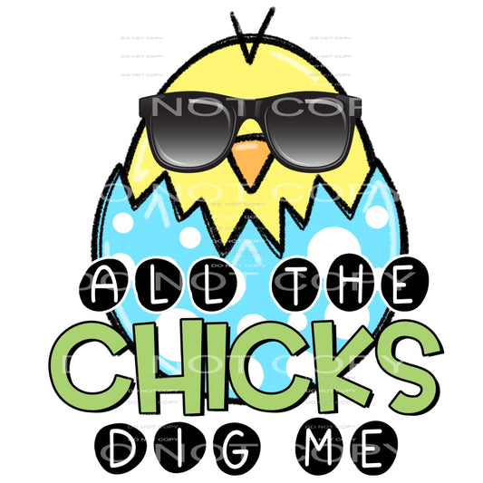 all the chicks dig me #4755 Sublimation transfers - Heat 