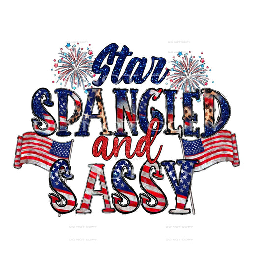 America #3629 Sublimation transfers - Heat Transfer Graphic