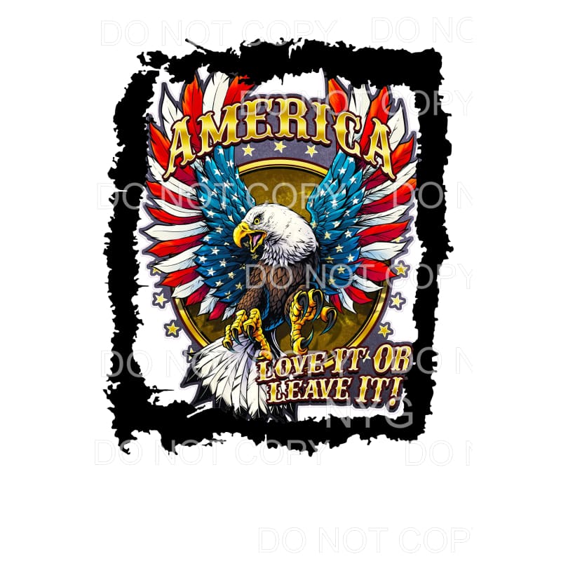 America Take It Or Leave It Eagle Flag Wings USA 4th Of July