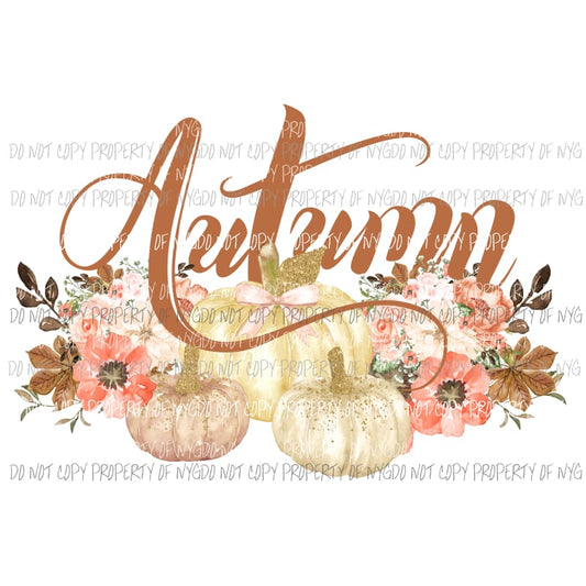 Autumn Pumpkins 1 Sublimation transfers Heat Transfer