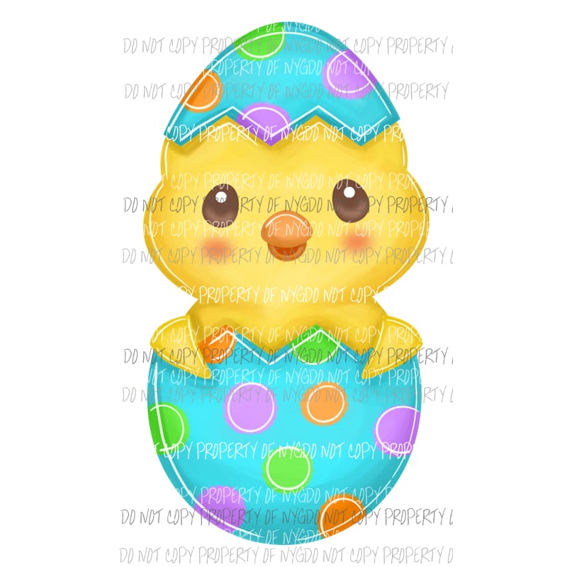 Baby Chicken in an Easter Egg multi color dots Sublimation transfers Heat Transfer