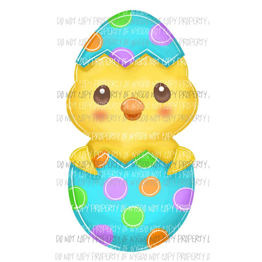 Baby Chicken in an Easter Egg multi color dots Sublimation transfers Heat Transfer
