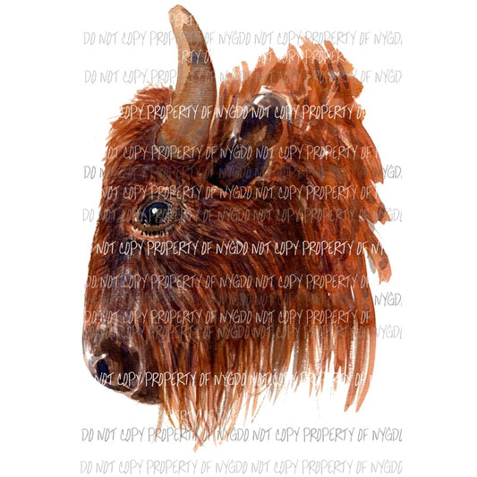 Buffalo head brown watercolor Sublimation transfers Heat Transfer