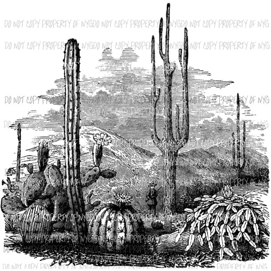 Cactus Black Sublimation transfers Heat Transfer
