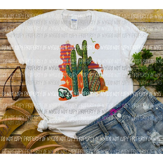 cactus desert Sublimation transfers Heat Transfer