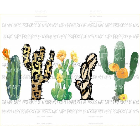 Cactus group multiple patterns Sublimation transfers Heat Transfer