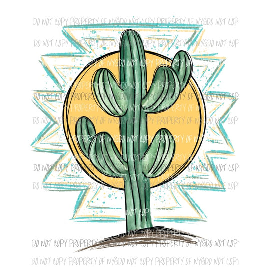 cactus sun Sublimation transfers Heat Transfer