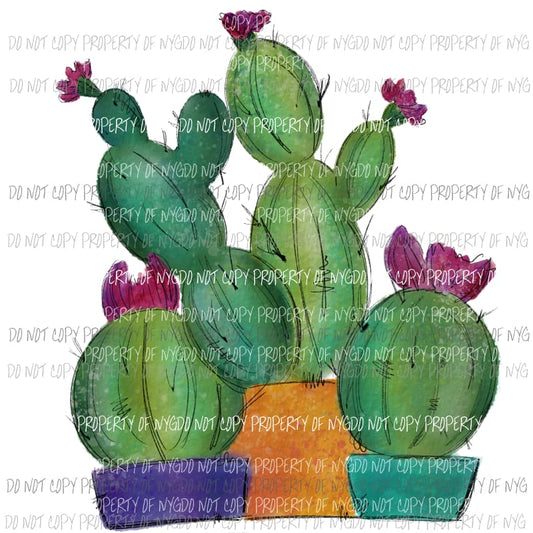 Cactus Trio watercolor Sublimation transfers Heat Transfer