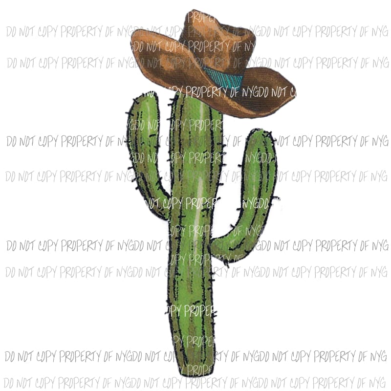 Cactus with a hat Sublimation transfers Heat Transfer