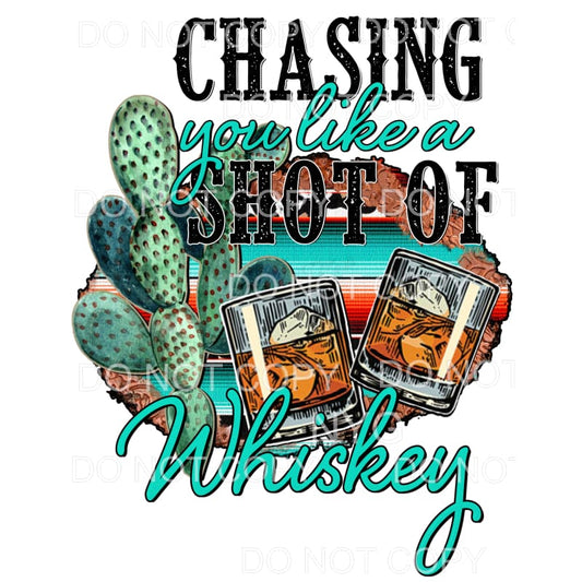 Chasing You Like A Shot Of Whiskey Glasses Cactus Serape 