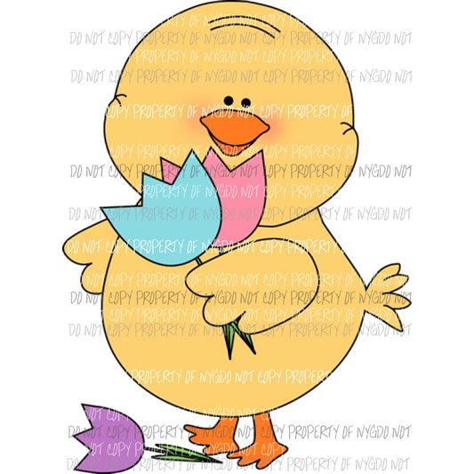 Chick with flowers Sublimation transfers Heat Transfer