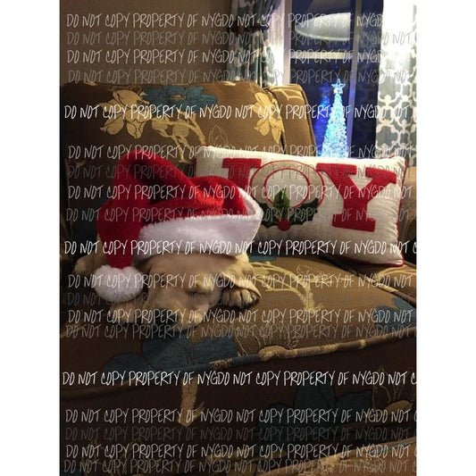 Christmas Puppy Sublimation transfers Heat Transfer
