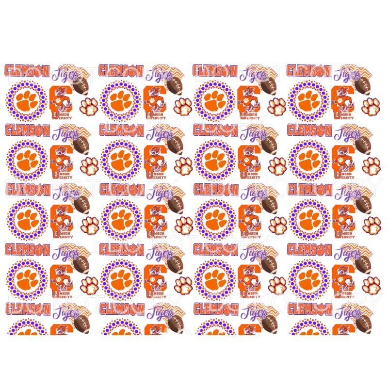 Clemson University Tigers Football South Carolina Orange 