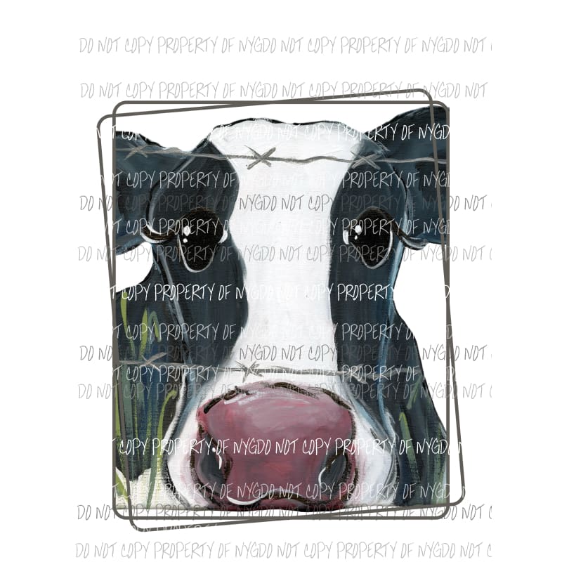 Cow Face Black White barbwire frame watercolor Sublimation transfers Heat Transfer