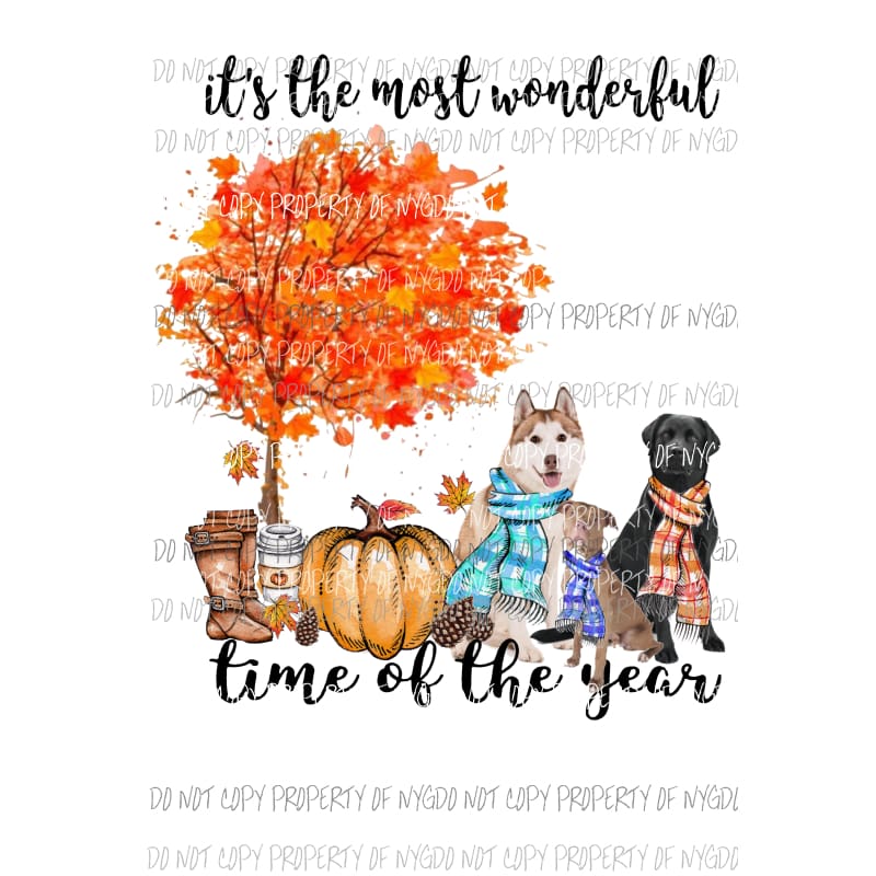 Custom 3 dogs Its the most wonderful time of the year Fall Dog Sublimation transfers Heat Transfer