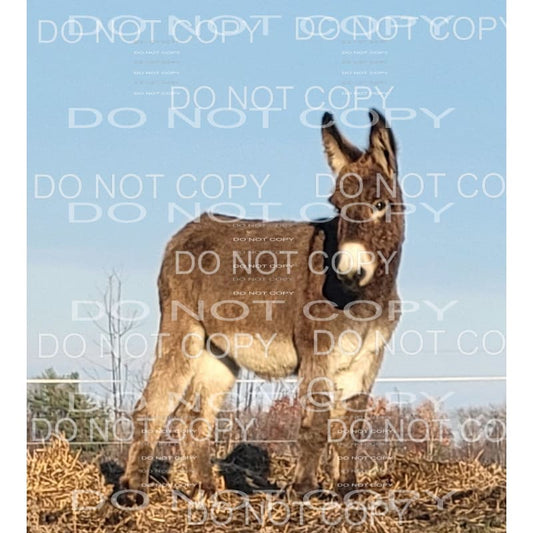 custom # 8301 Sublimation transfers - Heat Transfer