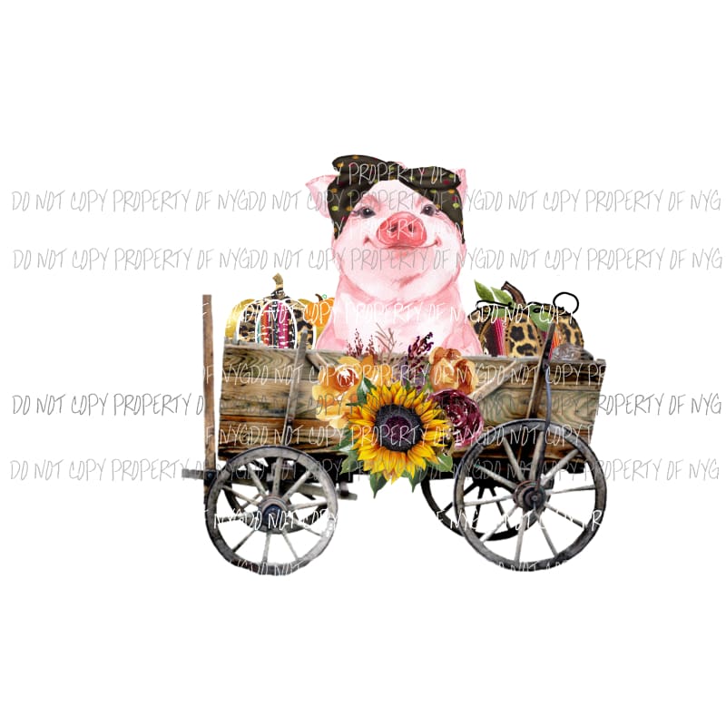 fall pig Sublimation transfers Heat Transfer