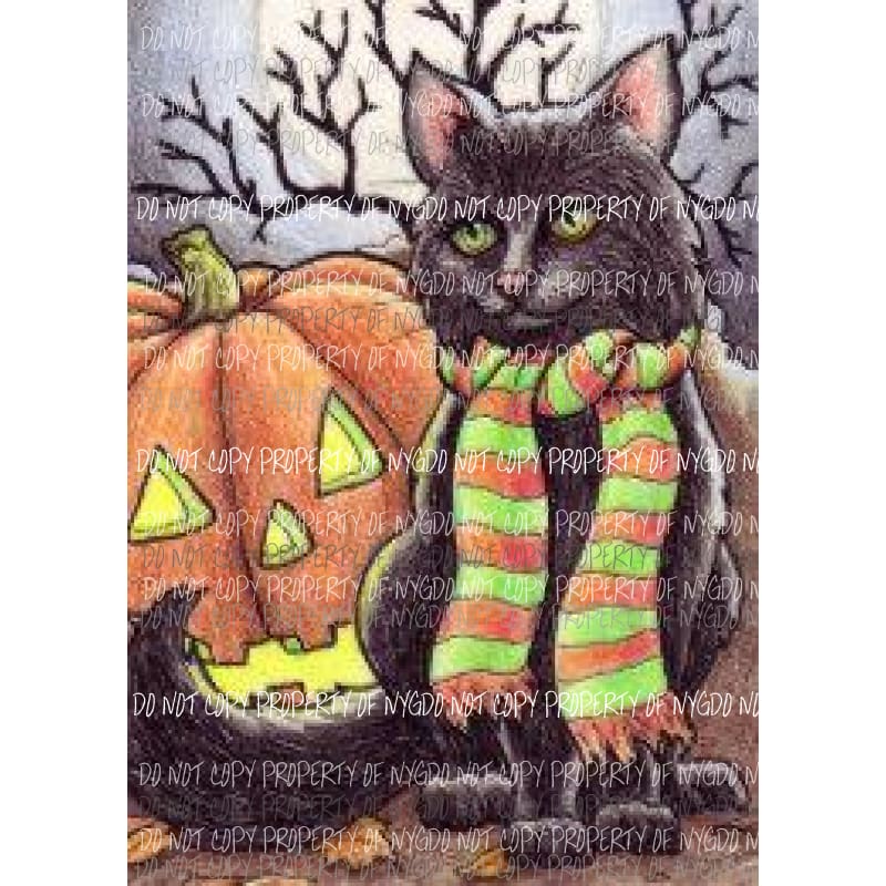 Halloween Black Cat Pumpkin # 2 Sublimation transfers Heat Transfer