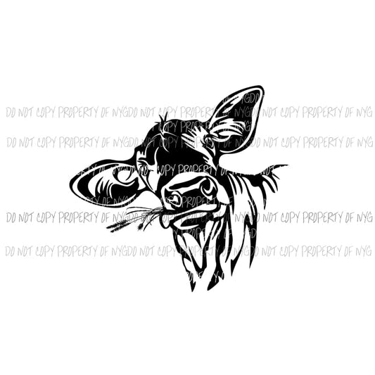 Heifer cow black Sublimation transfers Heat Transfer