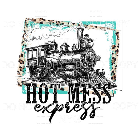 Hot Mess Express Train Teal Leopard Double Frame #2067 