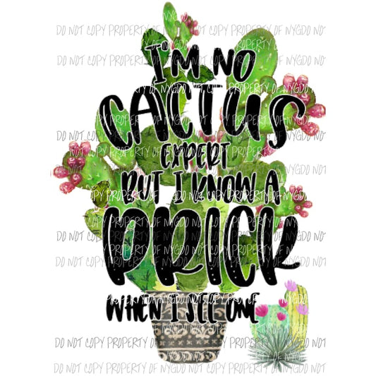 Im no cactus expert #4 Sublimation transfers Heat Transfer