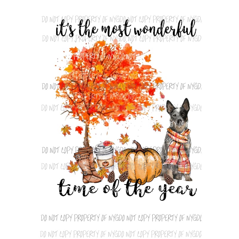 Its the most wonderful time of the year Australian cattle Fall Dog Sublimation transfers Heat Transfer