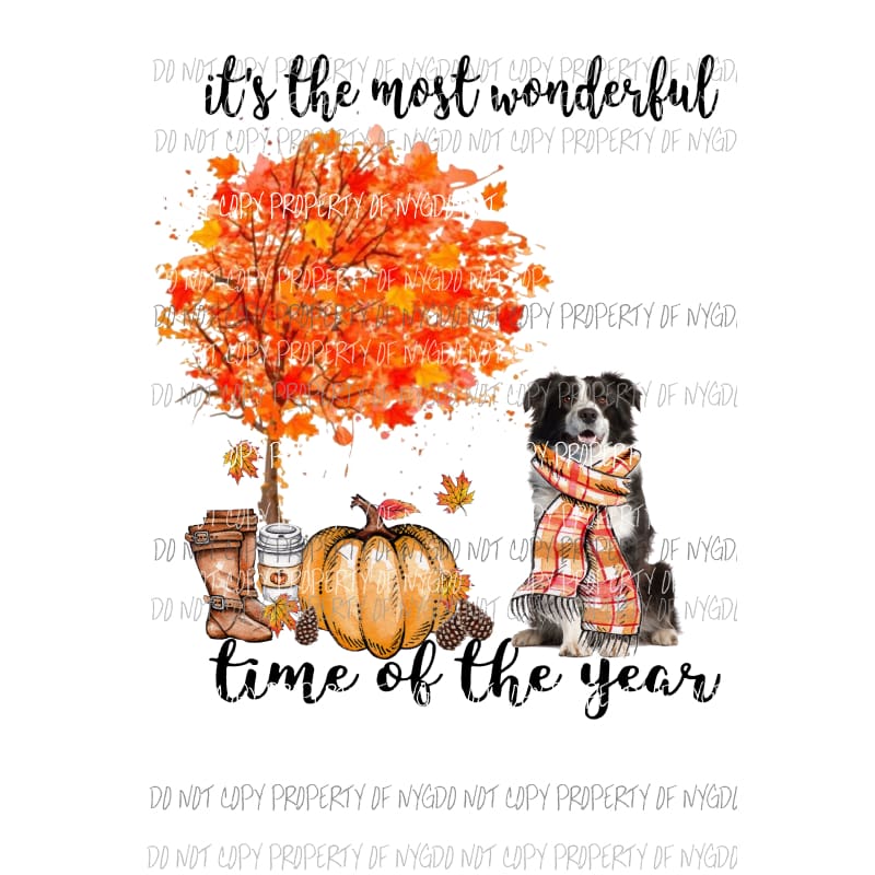 Its the most wonderful time of the year Border Collie 2 Fall Dog Sublimation transfers Heat Transfer