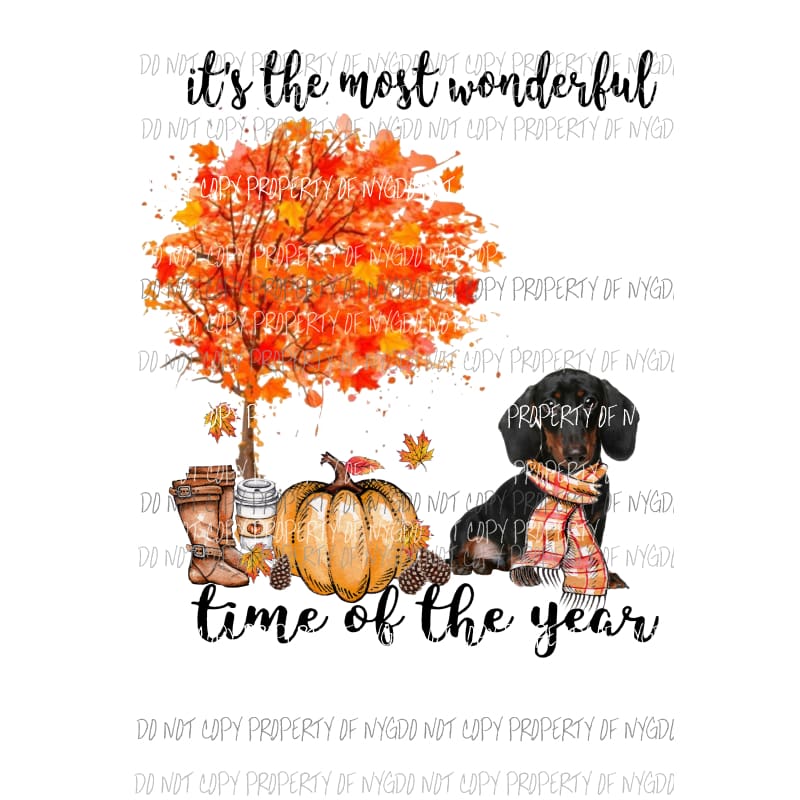 Its the most wonderful time of the year Fall Dachshund Dog 1 Sublimation transfers Heat Transfer