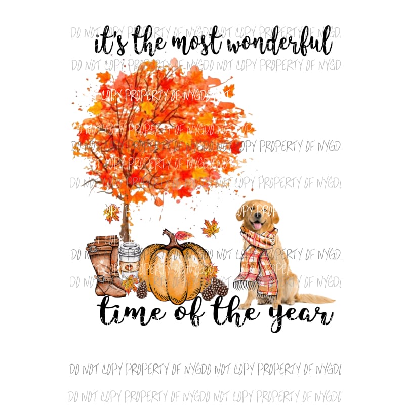 Its the most wonderful time of the year Fall GOLDEN RETRIEVER Dog Sublimation transfers Heat Transfer