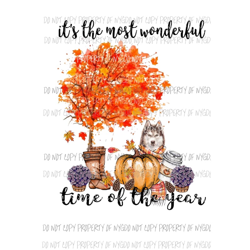Its the most wonderful time of the year Husky 1 Fall Dog Sublimation transfers Heat Transfer