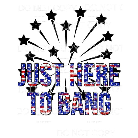 Just Here To Bang Fireworks 4th of July #2 Sublimation 