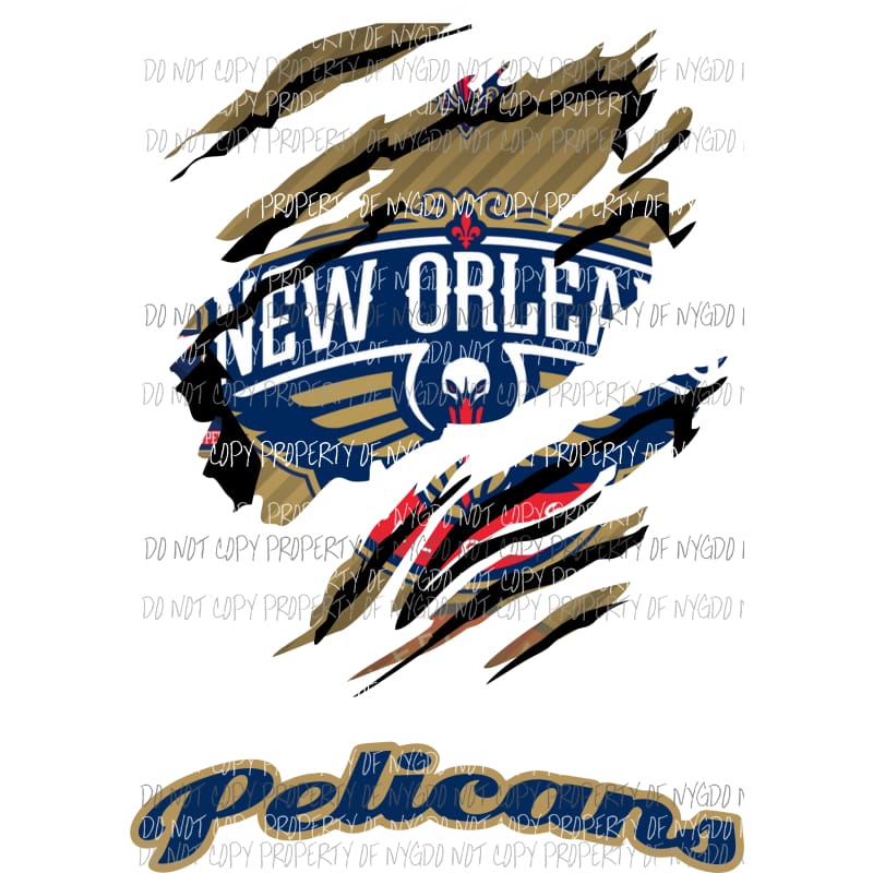 New Orleans Pelicans ripped design Sublimation transfers Heat Transfer